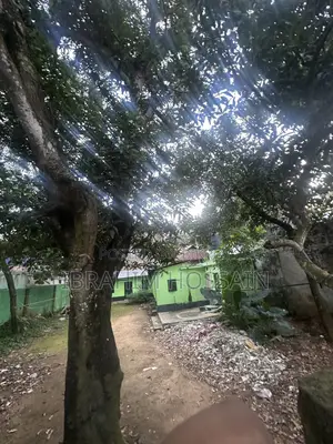 8.72 decimal ready land for sale behind Savar New Market (with ongoing rent)