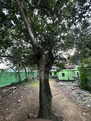 8.72 decimal ready land for sale behind Savar New Market (with ongoing rent)