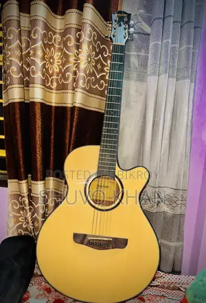 Deviser L-720a Pure Acoustic Guitar