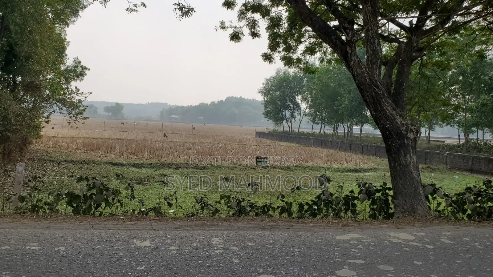 Land for sale adjacent to Airport-Haripur Road near Sylhet city