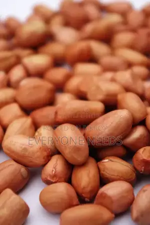 চীনা বাদাম লোকাল