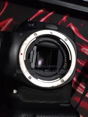 Canon EOS 60D DSLR Camera With EF-S 55-250mm Telephoto Zoom Lens