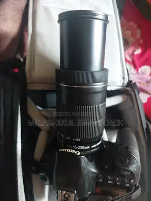 Canon EOS 60D DSLR Camera With EF-S 55-250mm Telephoto Zoom Lens