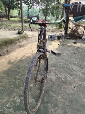 Phoenix Bicycle