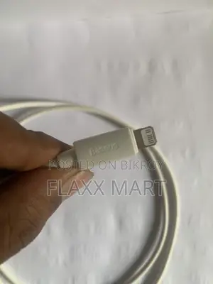 iPhone Cable
