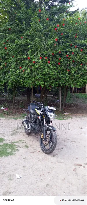 New Suzuki Gixxer Monotone 2022 Black