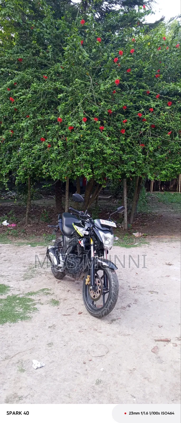 New Suzuki Gixxer Monotone 2022 Black