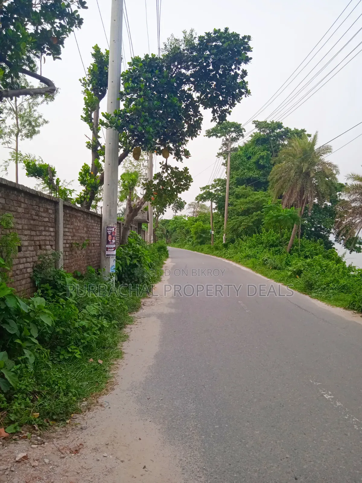 বিলাসবহুল রিসোর্ট ডেভেলপমেন্ট প্রজেক্টের জন্য ১৩.৫০ শতাংশ নদীর ধারের জমি