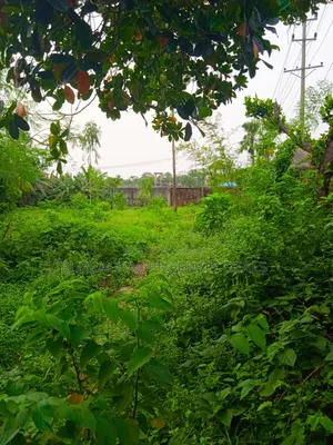 বিলাসবহুল রিসোর্ট ডেভেলপমেন্ট প্রজেক্টের জন্য ১৩.৫০ শতাংশ নদীর ধারের জমি