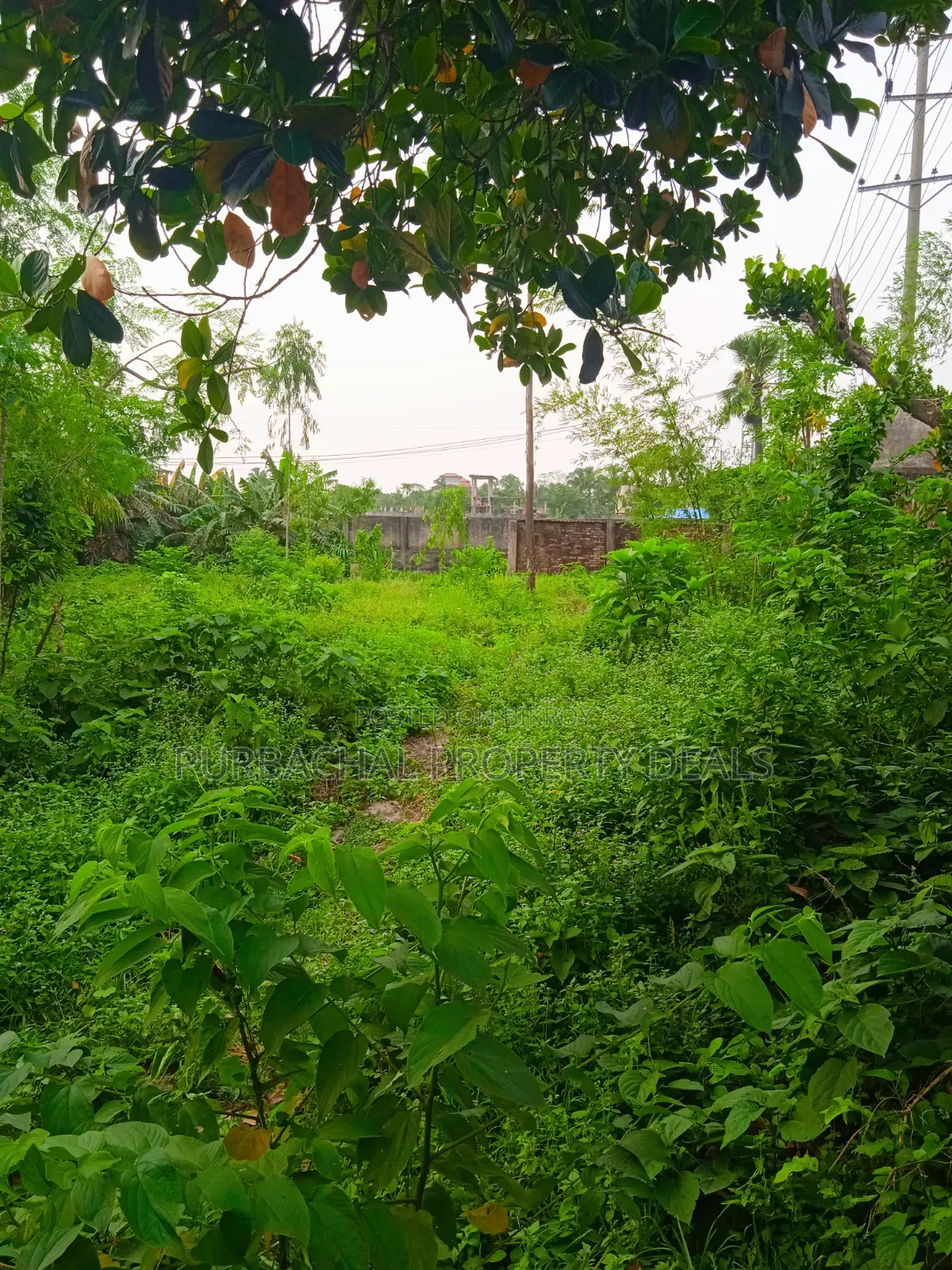 বিলাসবহুল রিসোর্ট ডেভেলপমেন্ট প্রজেক্টের জন্য ১৩.৫০ শতাংশ নদীর ধারের জমি