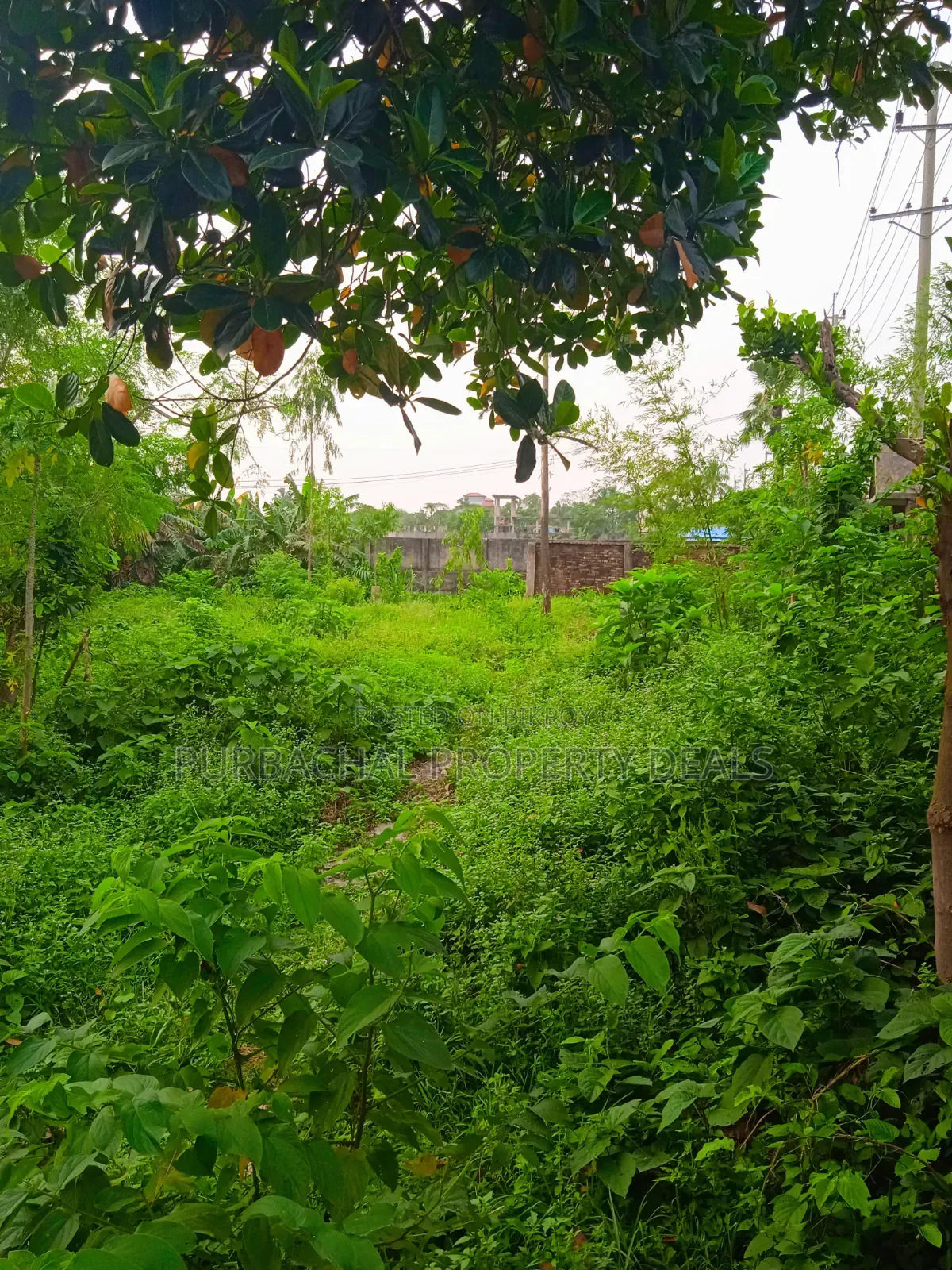 বিলাসবহুল রিসোর্ট ডেভেলপমেন্ট প্রজেক্টের জন্য ১৩.৫০ শতাংশ নদীর ধারের জমি