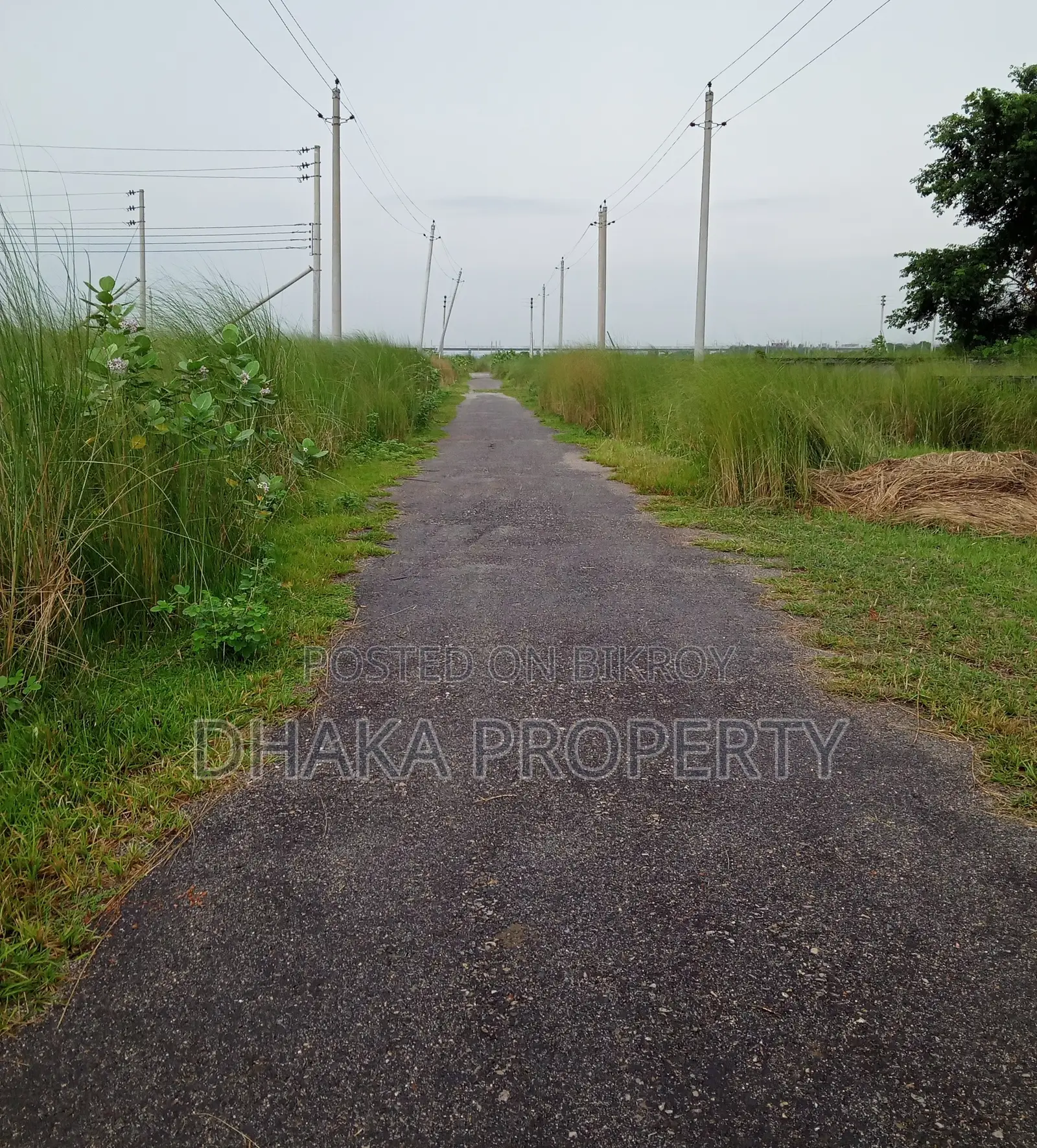 On 30ft Road, 3 Katha, Lake East at Sector-20