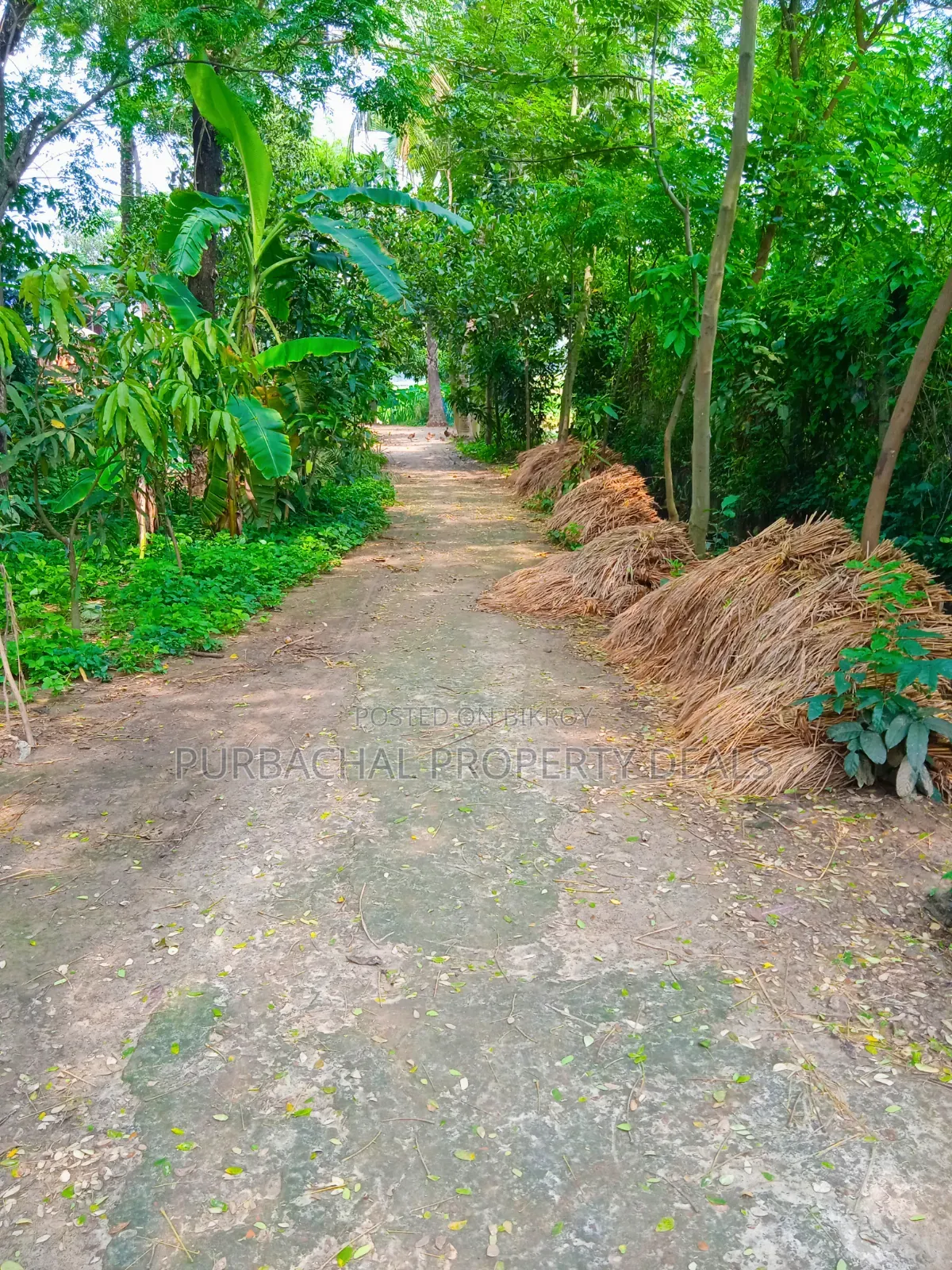 অল্প মূল্যে পূর্বাচলে ৯০ শতক জমি বাগান বাড়ি-ফার্ম হাউসের জন্য উপযোগী