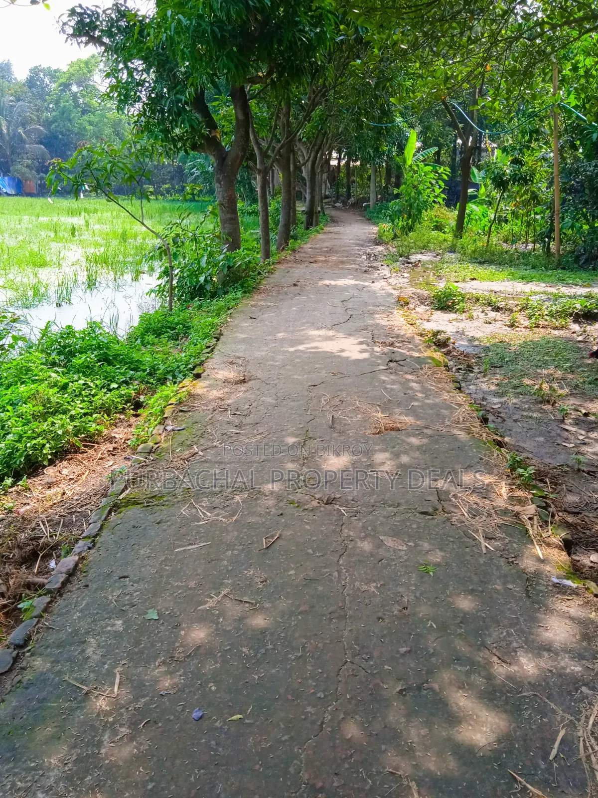 অল্প মূল্যে পূর্বাচলে ৯০ শতক জমি বাগান বাড়ি-ফার্ম হাউসের জন্য উপযোগী
