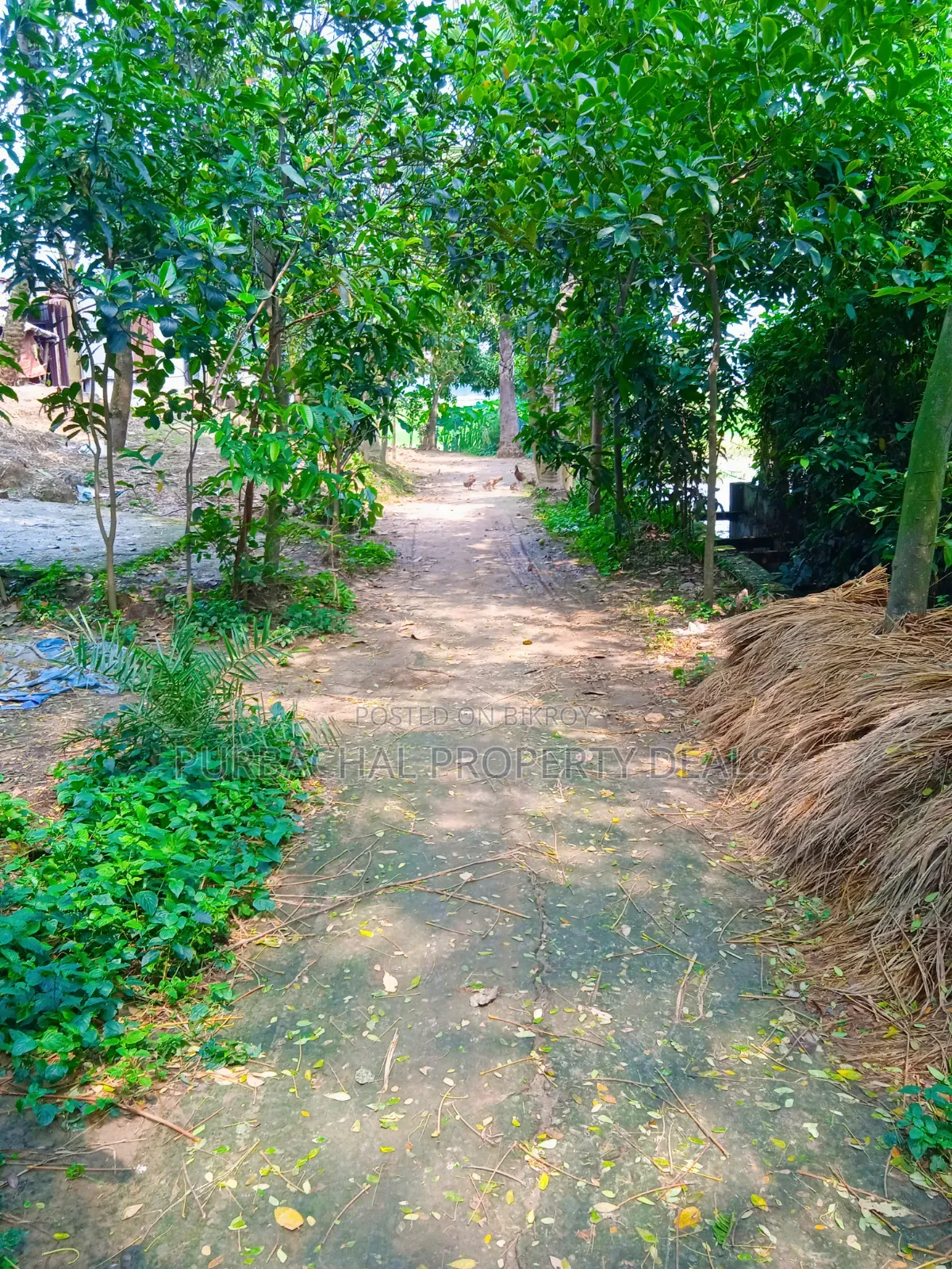 অল্প মূল্যে পূর্বাচলে ৯০ শতক জমি বাগান বাড়ি-ফার্ম হাউসের জন্য উপযোগী