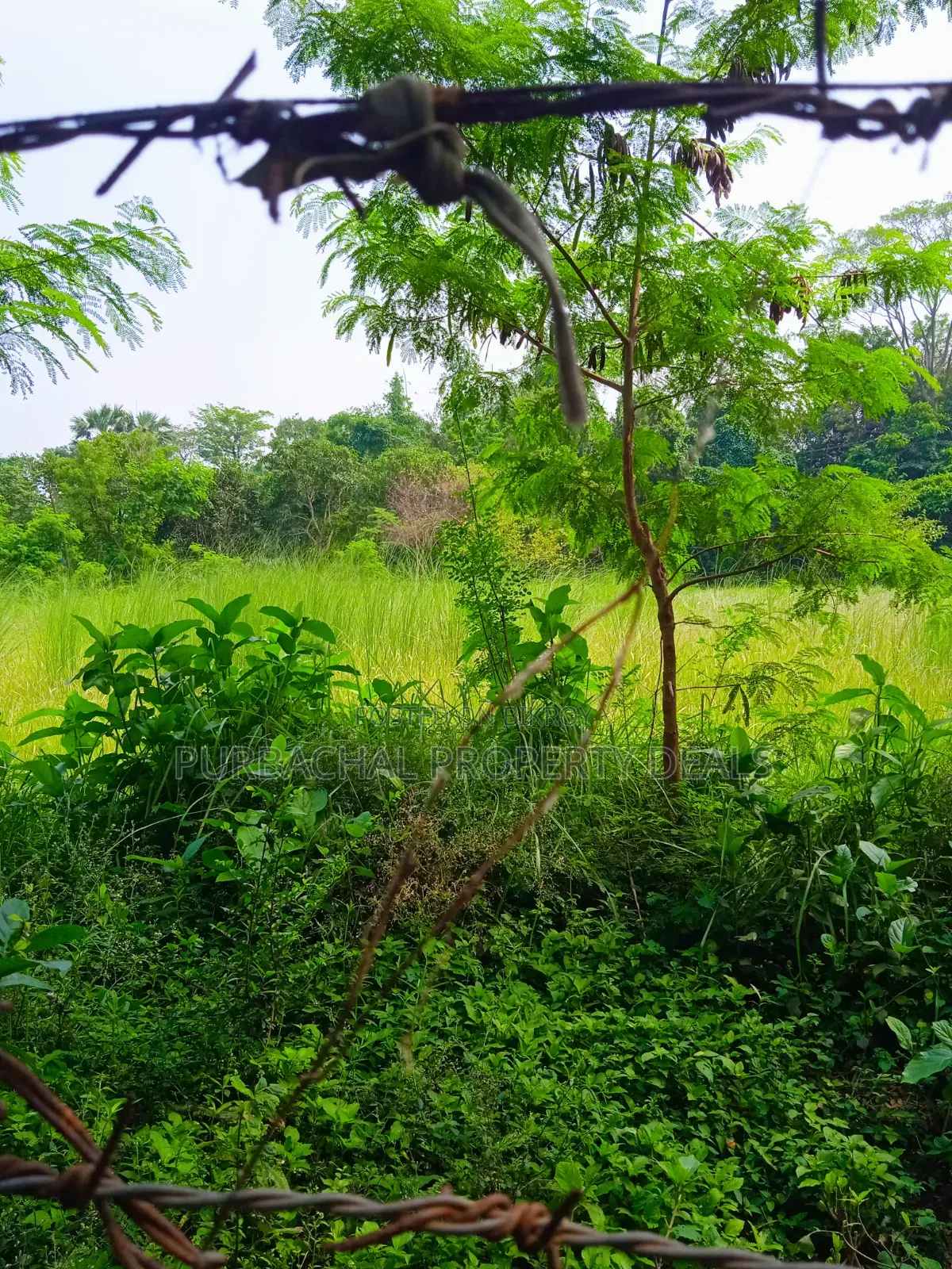 অল্প মূল্যে পূর্বাচলে ৯০ শতক জমি বাগান বাড়ি-ফার্ম হাউসের জন্য উপযোগী