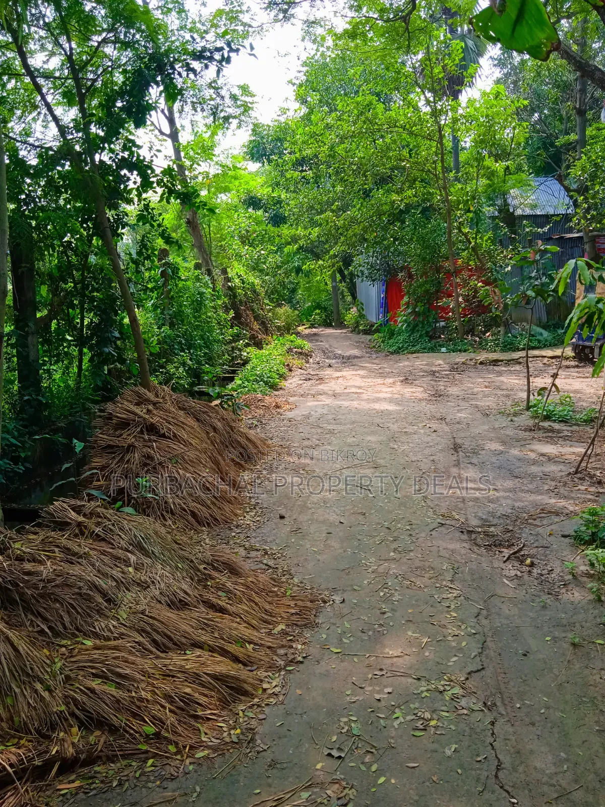 অল্প মূল্যে পূর্বাচলে ৯০ শতক জমি বাগান বাড়ি-ফার্ম হাউসের জন্য উপযোগী