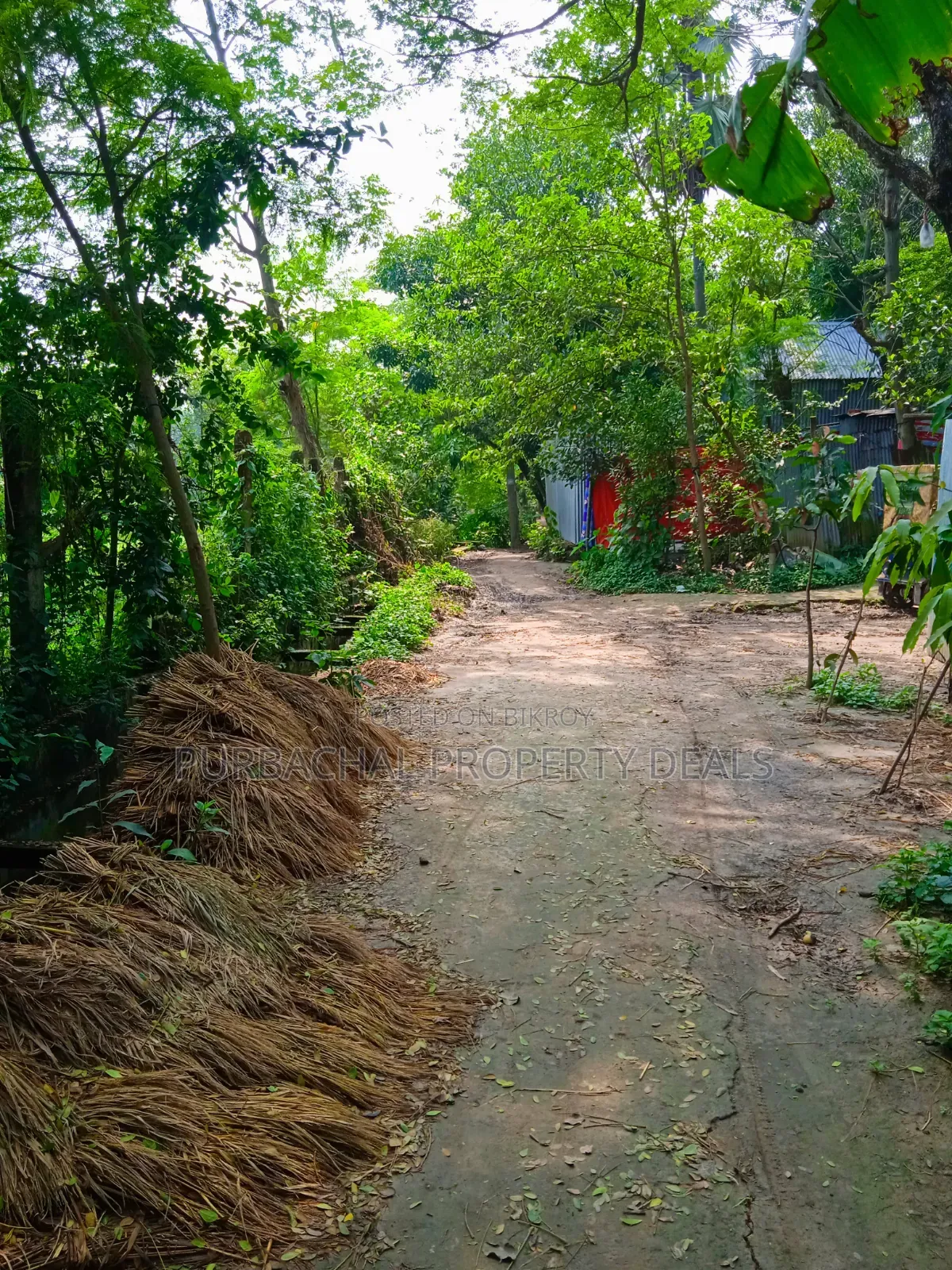 অল্প মূল্যে পূর্বাচলে ৯০ শতক জমি বাগান বাড়ি-ফার্ম হাউসের জন্য উপযোগী
