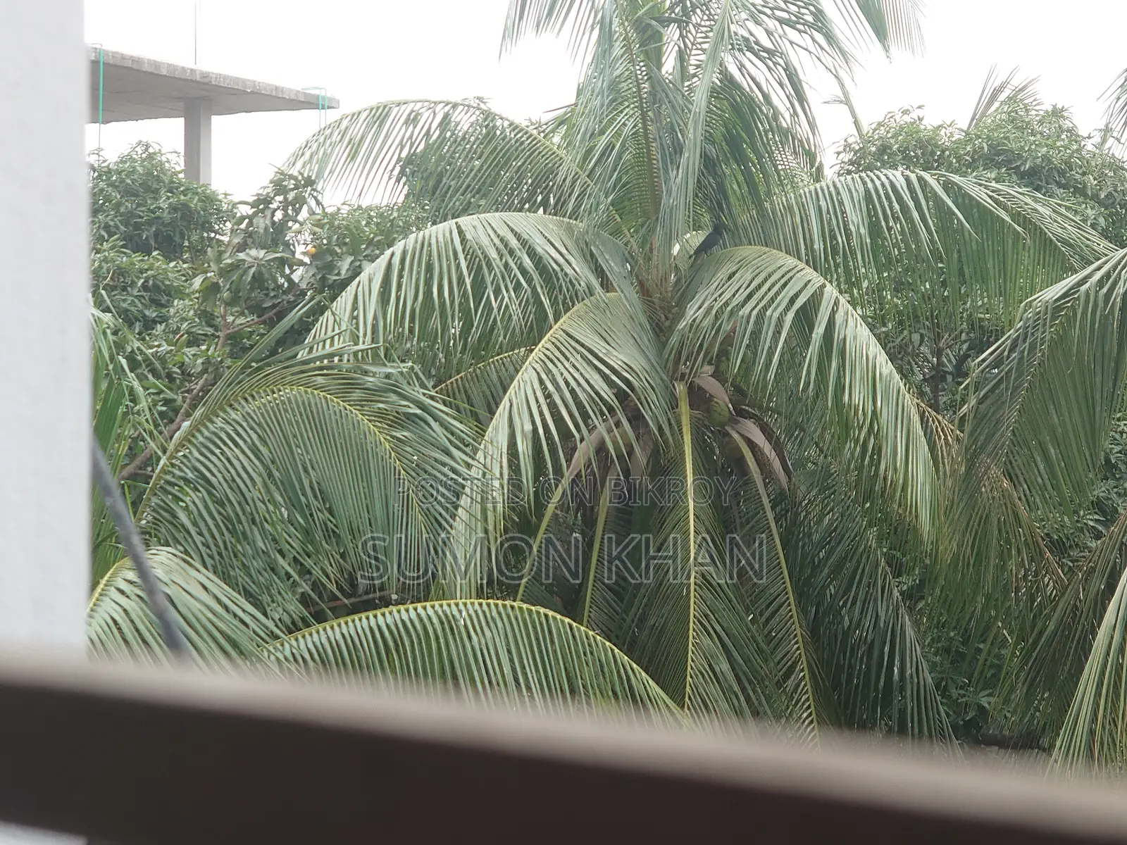 1-Bedroom Apartment in Jatrabari for Rent