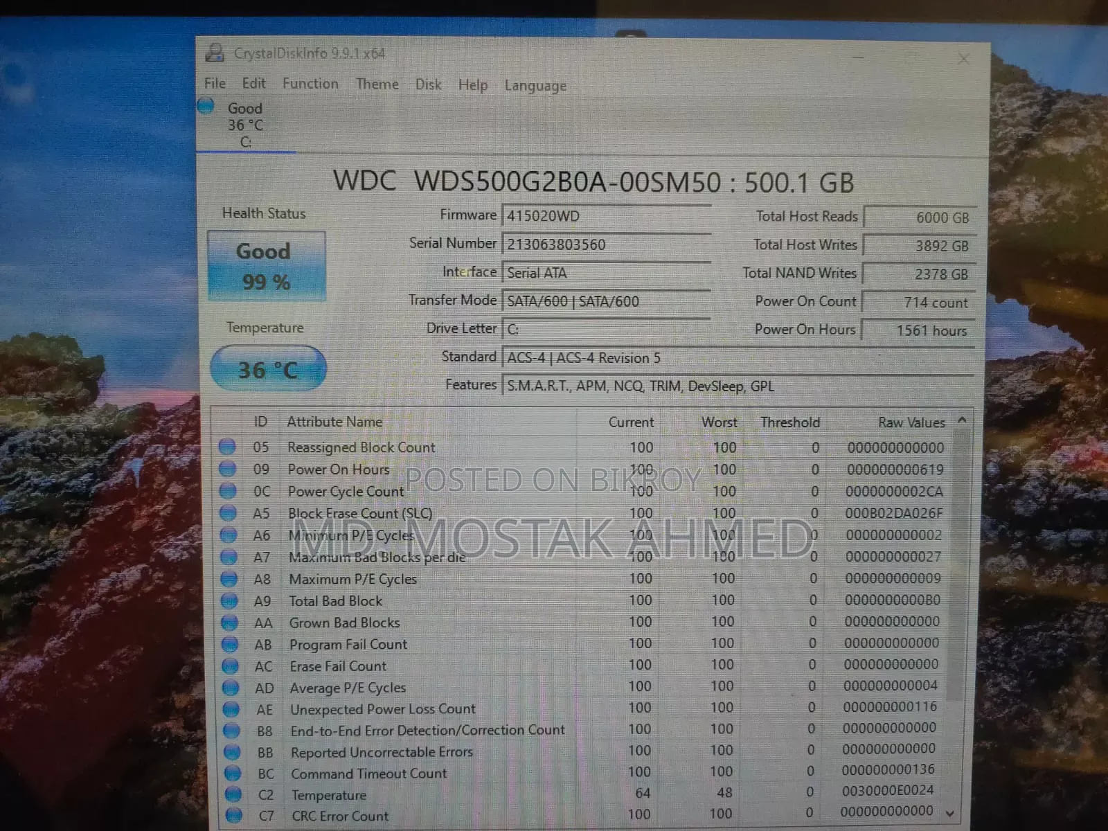 Western Digital Blue 500GB SATA SSD