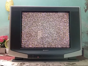 Sharp 21" Box TV