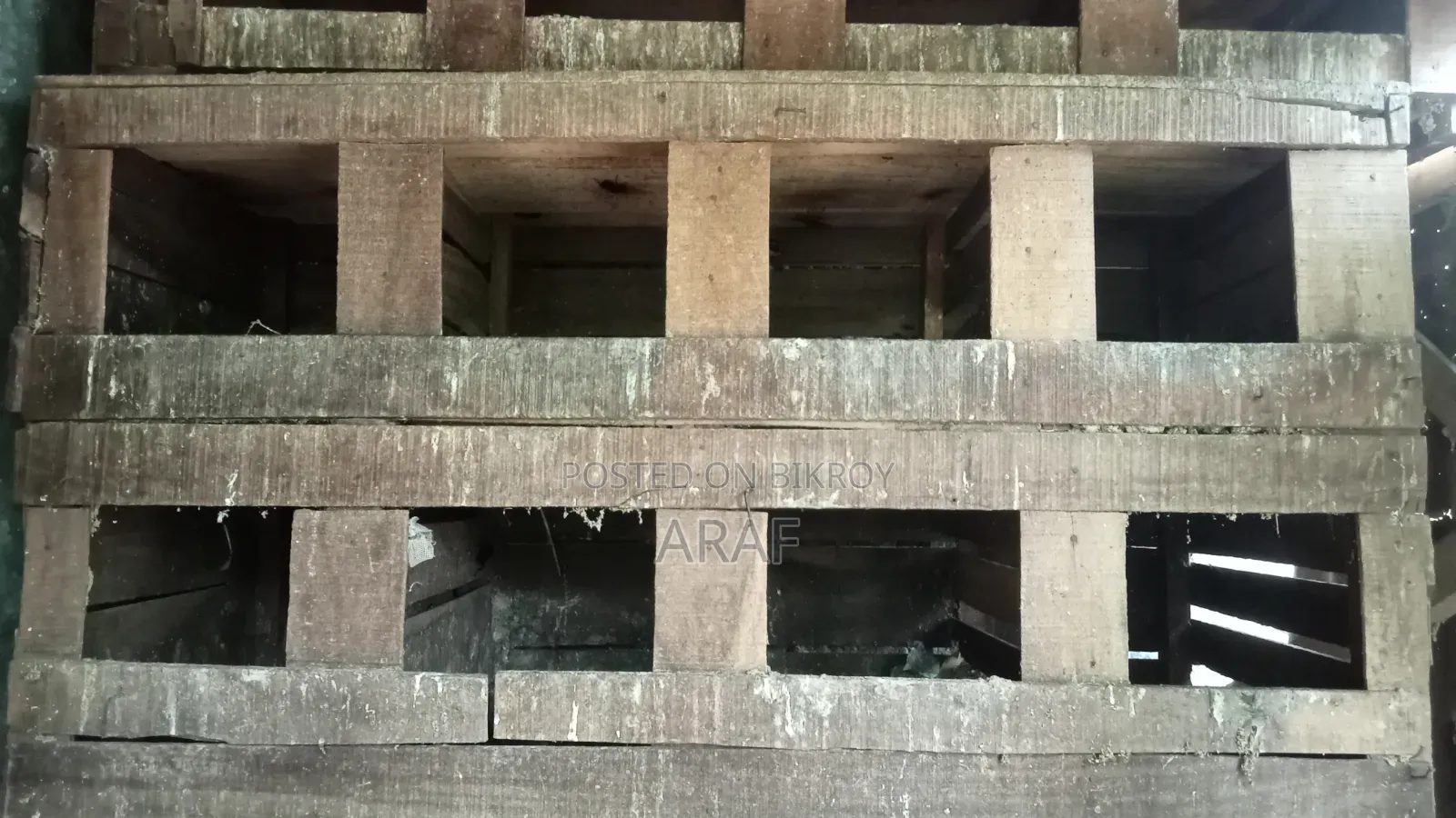 কবুতরের ঘর