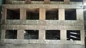 কবুতরের ঘর