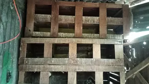 কবুতরের ঘর