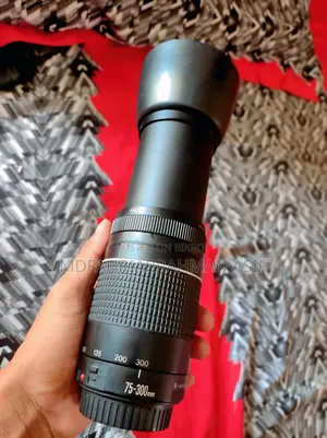 Canon 75-300 Zoom Lens
