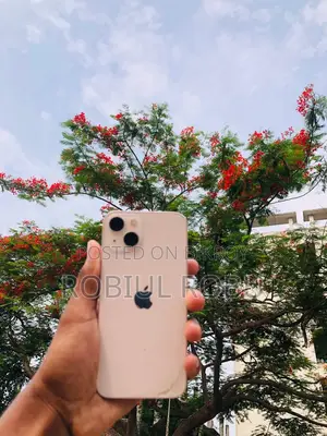 অ্যাপল আইফোন ১৩ ১২৮ জিবি পিঙ্ক