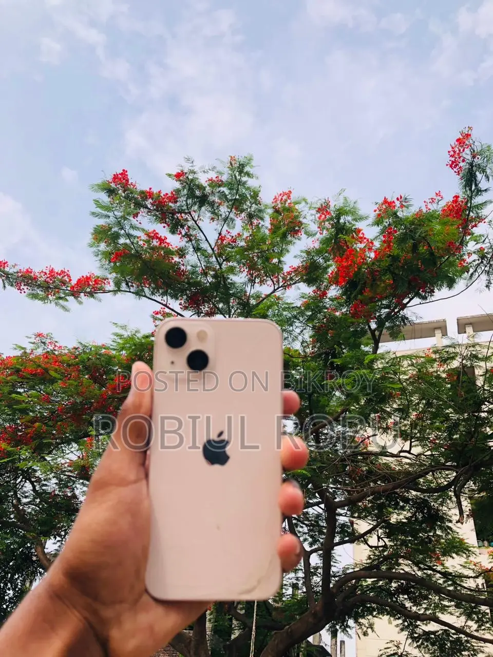 Apple iPhone 13 128 GB Pink