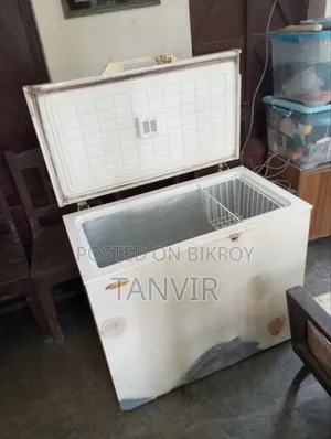 Rangs Chest/Deep Fridge