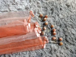 Anarkali Gown Indian Brand