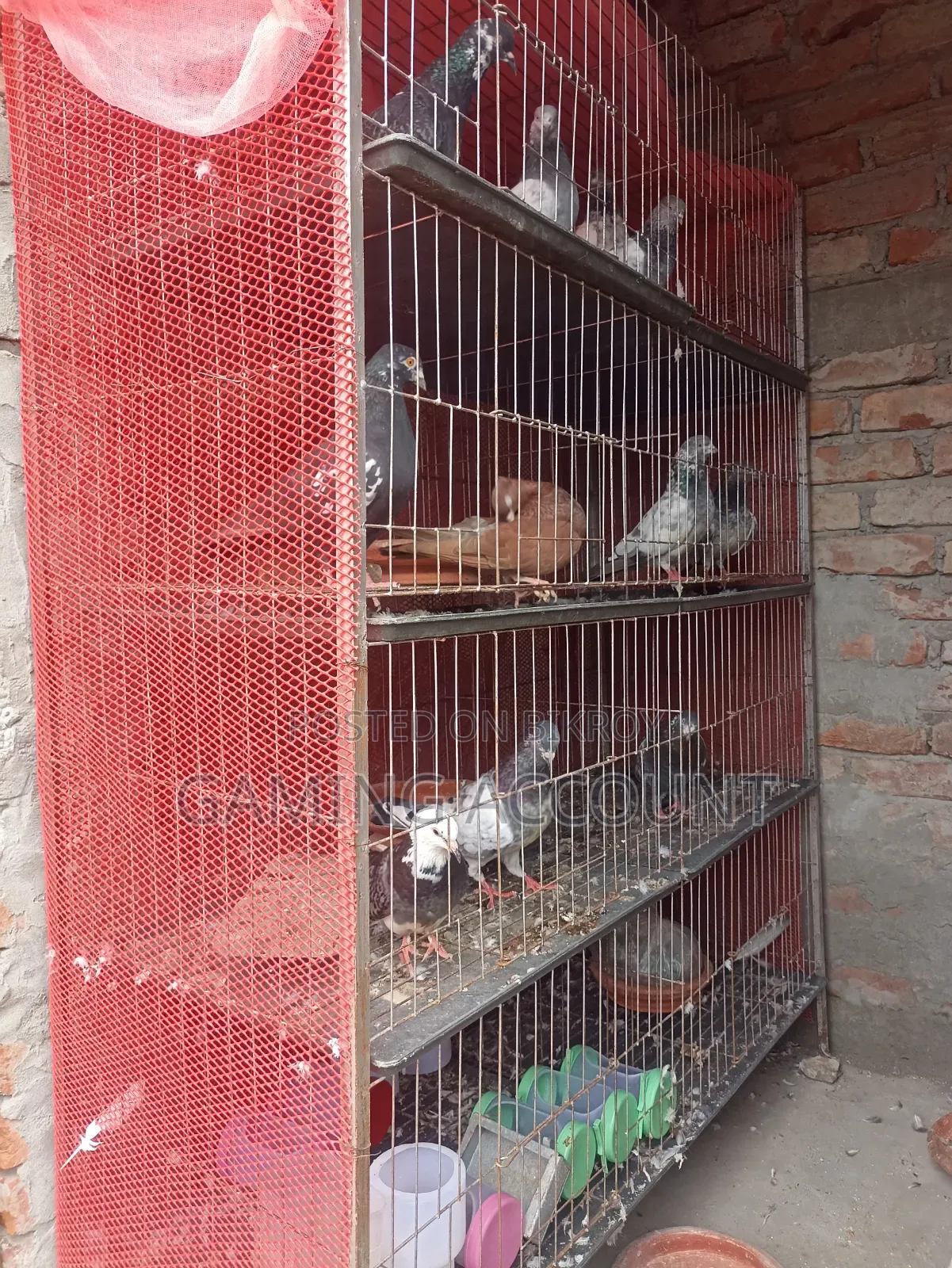 কবুতরের খাঁচা ৮ খোপের