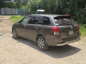 Toyota Axio 2013 Brown