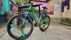 Phonix Bicycle for sale