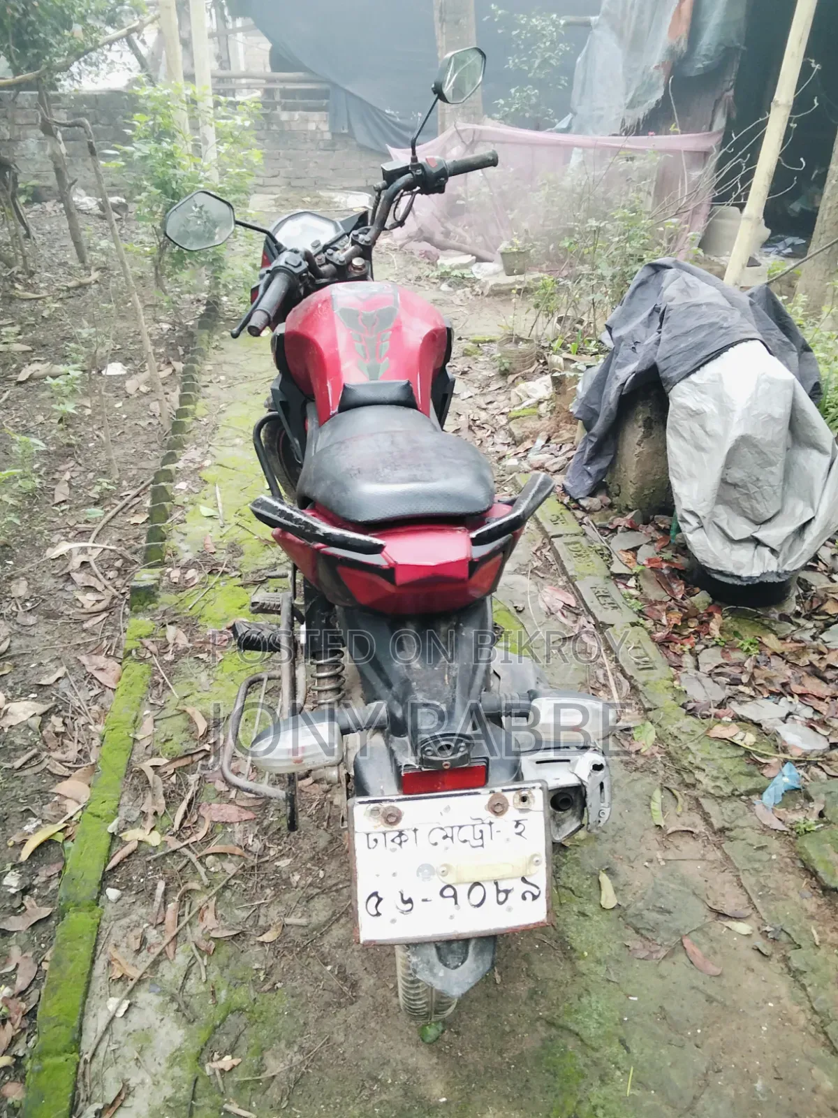 Roadmaster Delight 2023 Red