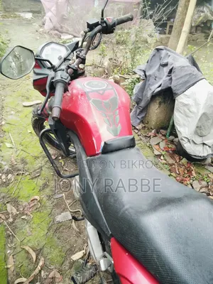 Roadmaster Delight 2023 Red