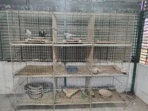 Pigeon Cage. 9 cages
