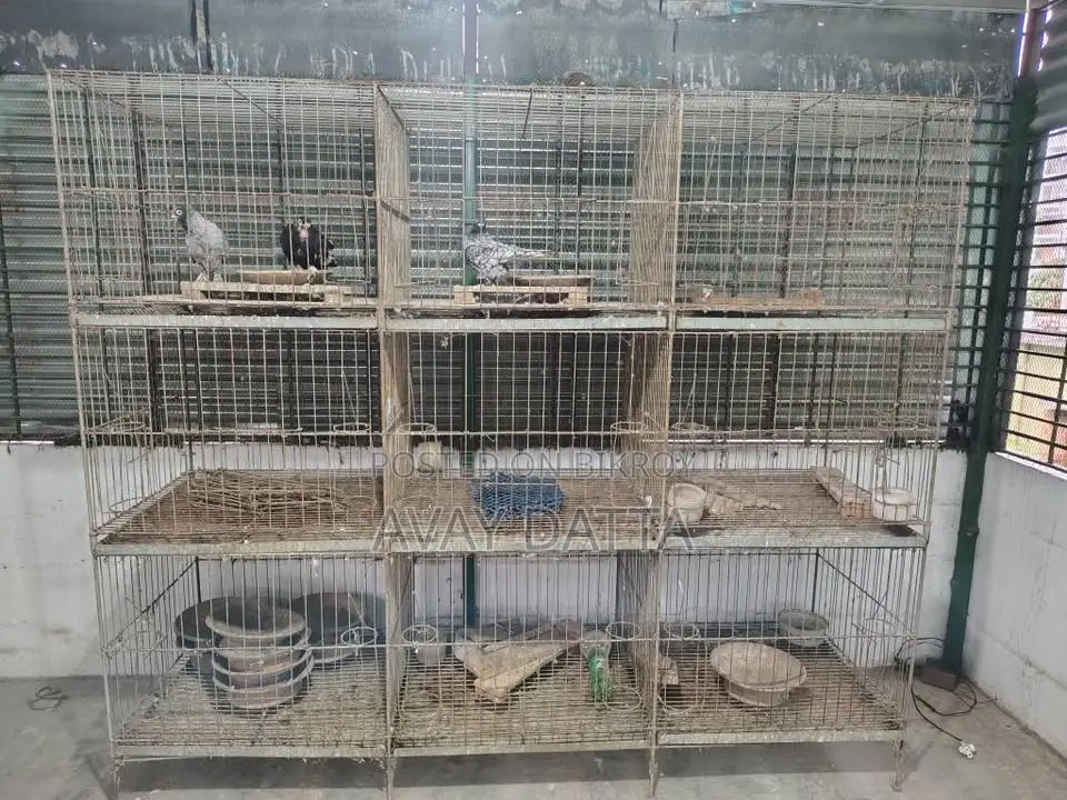Pigeon Cage. 9 cages