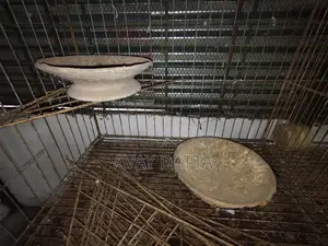Pigeon Cage. 9 cages