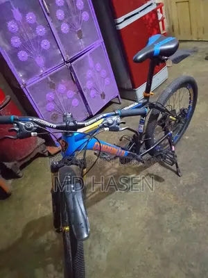 দুরন্ত সাইকেল