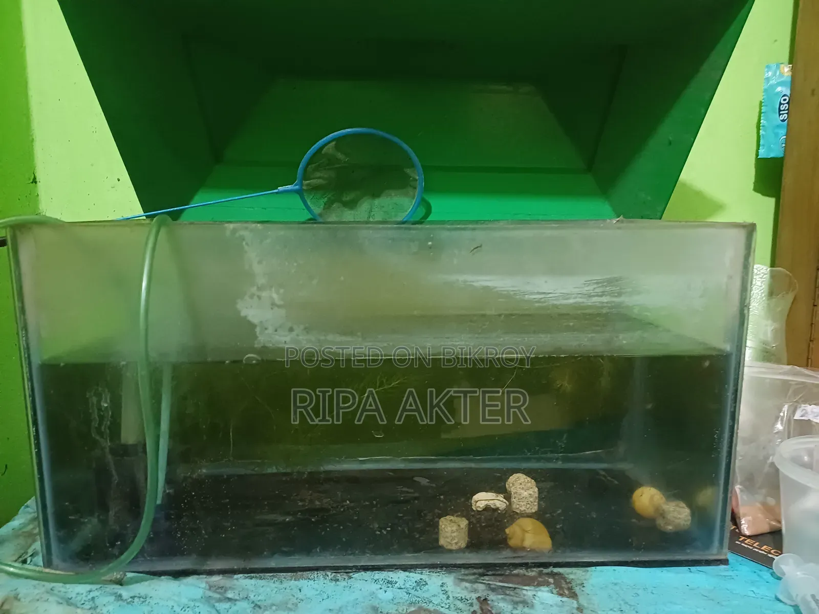 Aquarium M