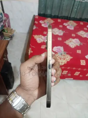 Apple iPhone 13 Pro Max 256 GB Gold