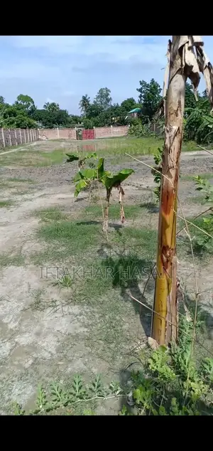 Baganbari/Banglobari on 48 Shotok Land