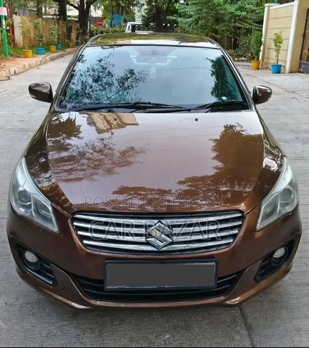 সুজুকি সিয়াজ ২০১৫ ব্রাউন