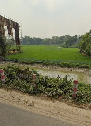 121.5 Decimal Land for Sale Beside Dhaka-Chittagong Highway