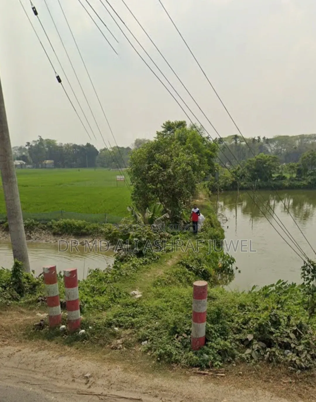 121.5 Decimal Land for Sale Beside Dhaka-Chittagong Highway