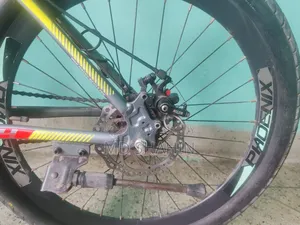By Cycle Phonex