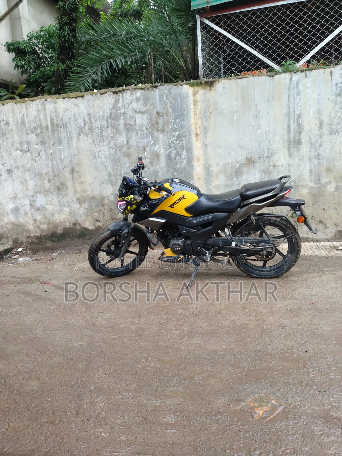 TVS Raider 125 2024 Yellow